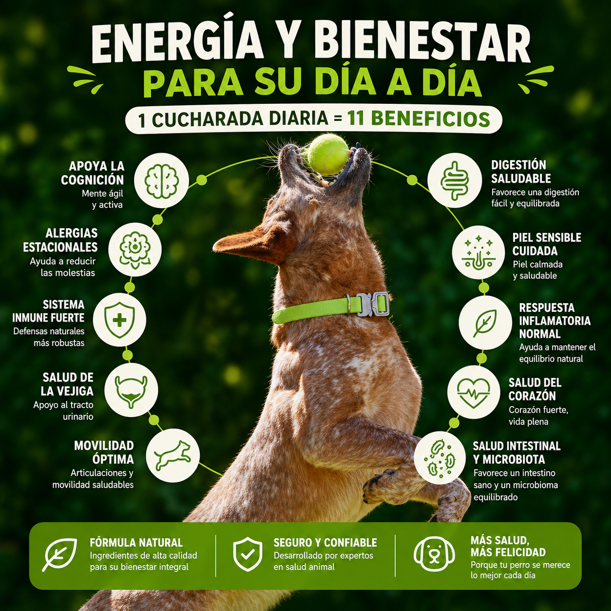Suplemento para mascotas